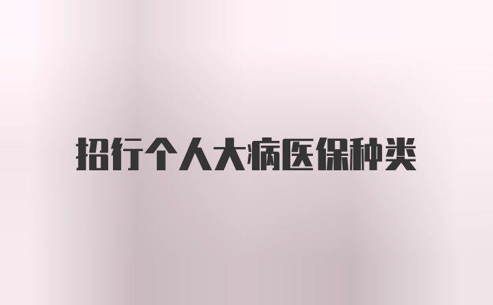 招行个人大病医保种类