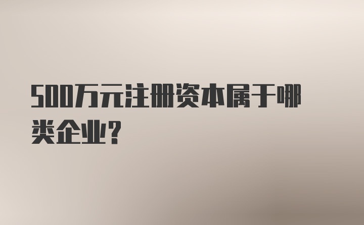 500万元注册资本属于哪类企业？