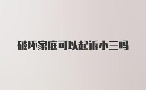 破坏家庭可以起诉小三吗