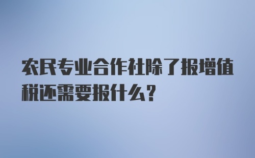 农民专业合作社除了报增值税还需要报什么？