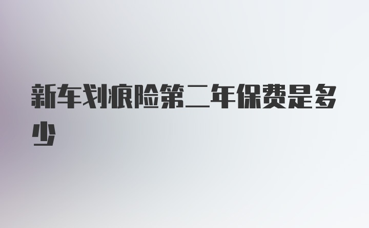 新车划痕险第二年保费是多少