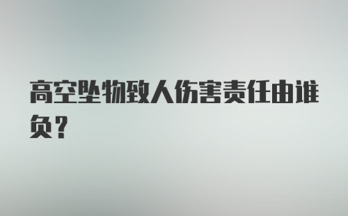 高空坠物致人伤害责任由谁负？