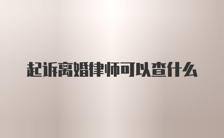 起诉离婚律师可以查什么