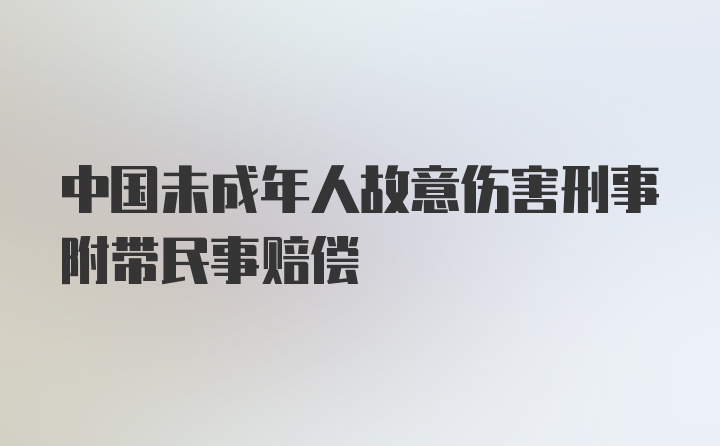 中国未成年人故意伤害刑事附带民事赔偿