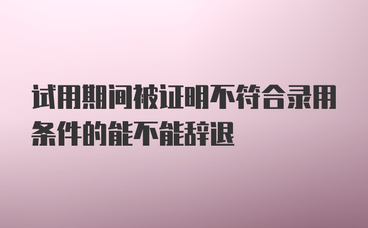 试用期间被证明不符合录用条件的能不能辞退