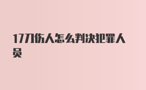 17刀伤人怎么判决犯罪人员