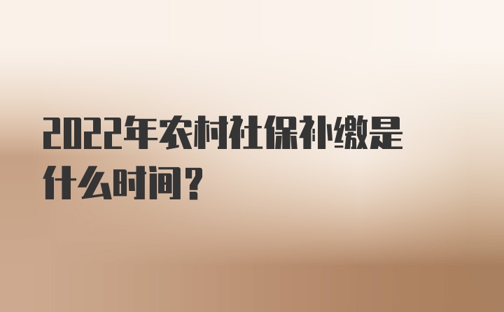 2022年农村社保补缴是什么时间？