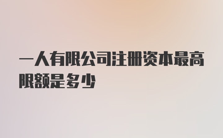 一人有限公司注册资本最高限额是多少