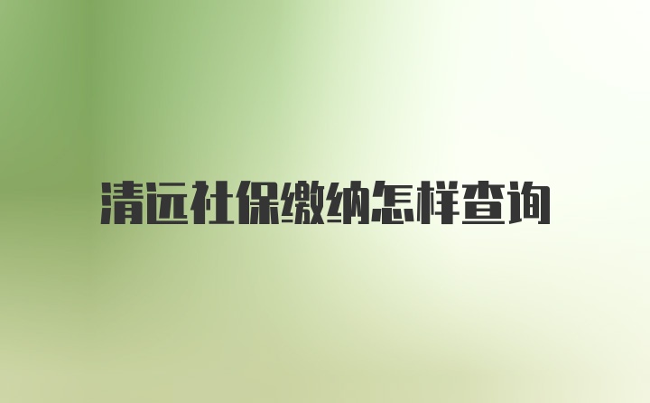 清远社保缴纳怎样查询