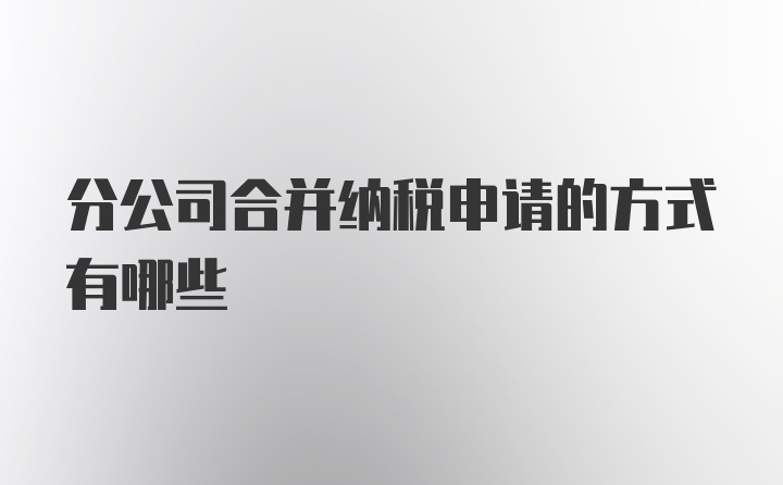 分公司合并纳税申请的方式有哪些