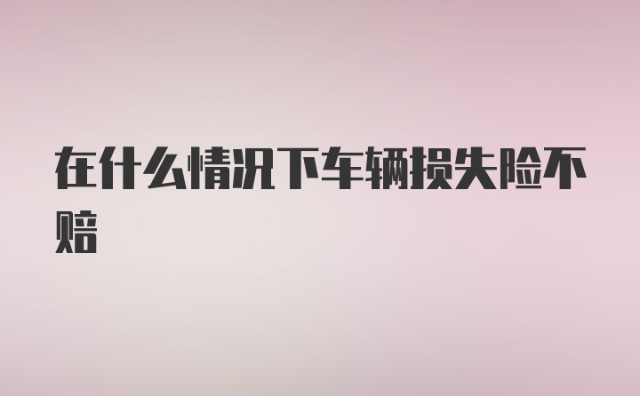 在什么情况下车辆损失险不赔