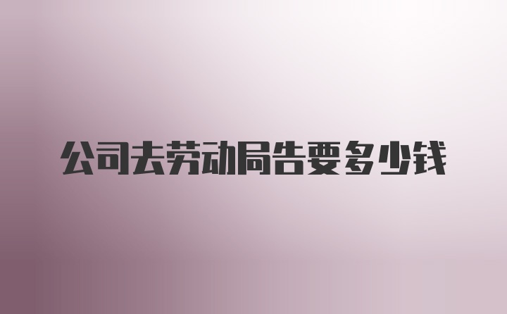 公司去劳动局告要多少钱