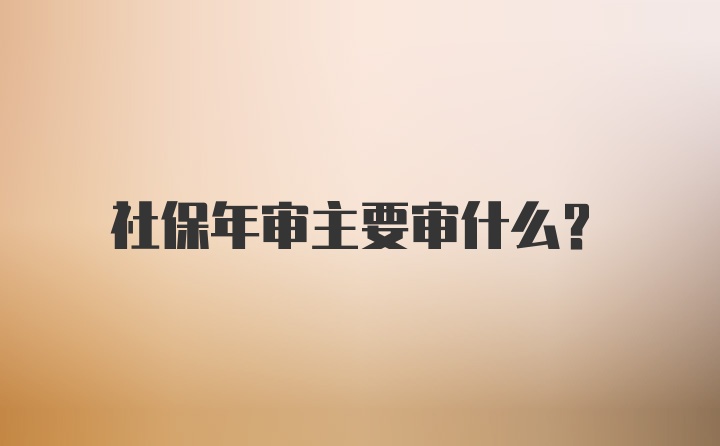 社保年审主要审什么？