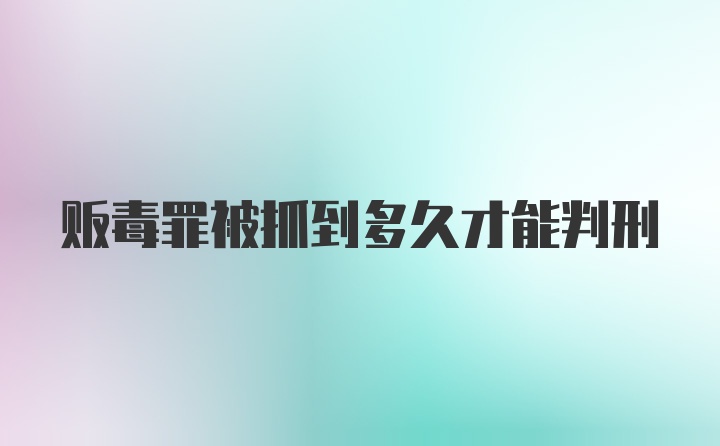 贩毒罪被抓到多久才能判刑