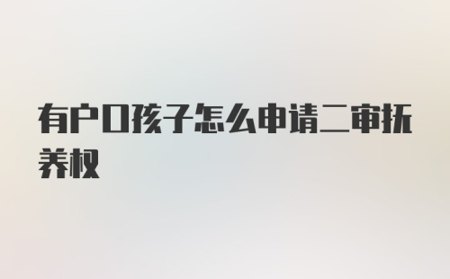 有户口孩子怎么申请二审抚养权