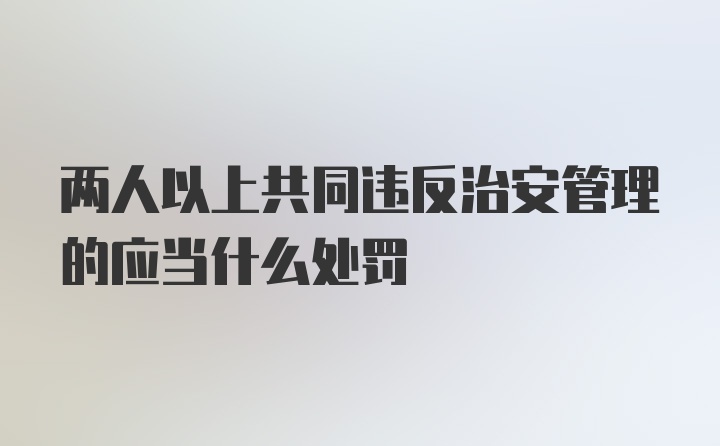 两人以上共同违反治安管理的应当什么处罚