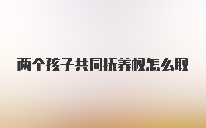 两个孩子共同抚养权怎么取