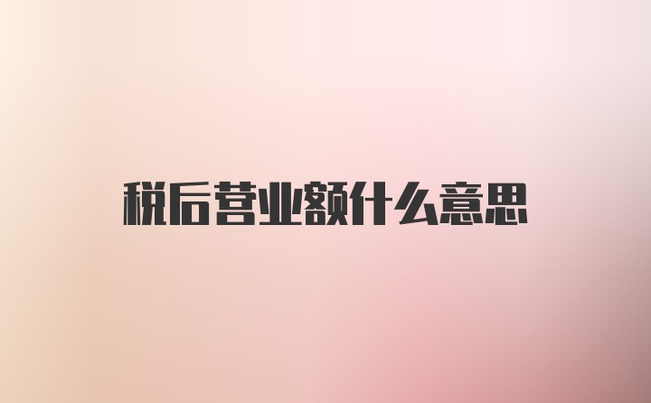 税后营业额什么意思