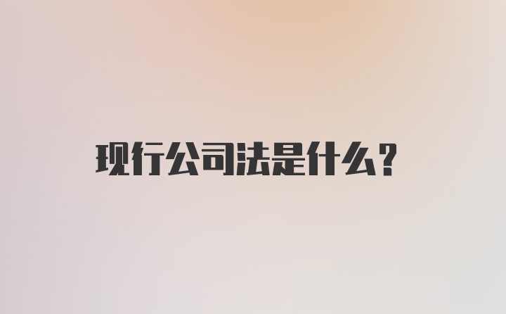 现行公司法是什么？