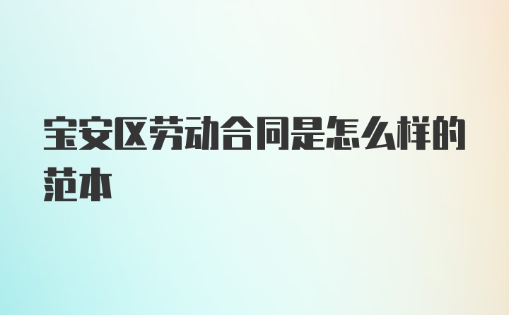 宝安区劳动合同是怎么样的范本