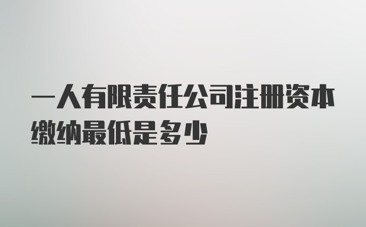 一人有限责任公司注册资本缴纳最低是多少