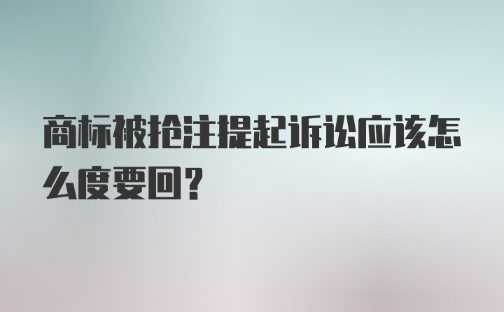 商标被抢注提起诉讼应该怎么度要回？