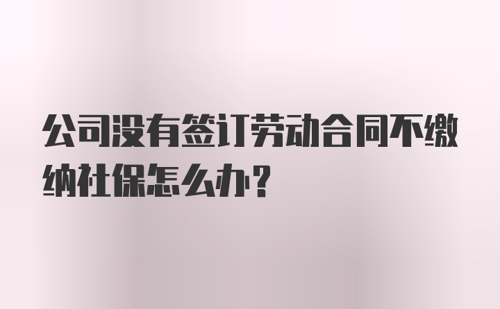 公司没有签订劳动合同不缴纳社保怎么办?