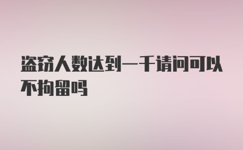 盗窃人数达到一千请问可以不拘留吗