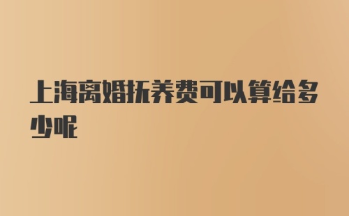 上海离婚抚养费可以算给多少呢