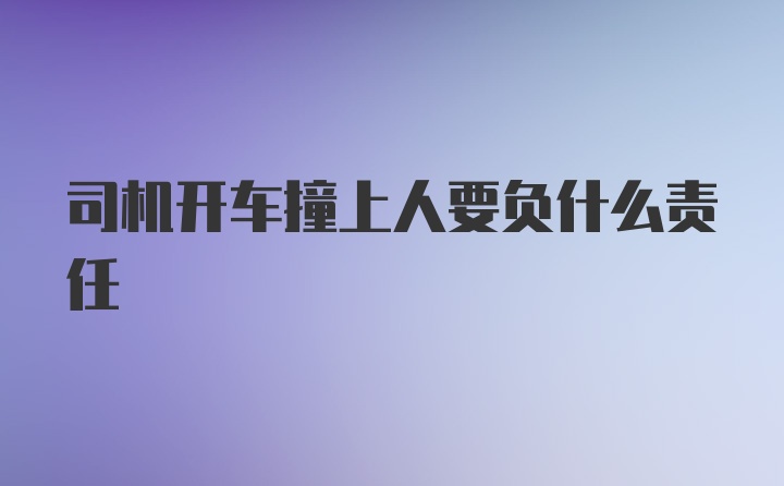 司机开车撞上人要负什么责任