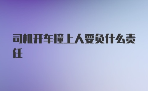 司机开车撞上人要负什么责任