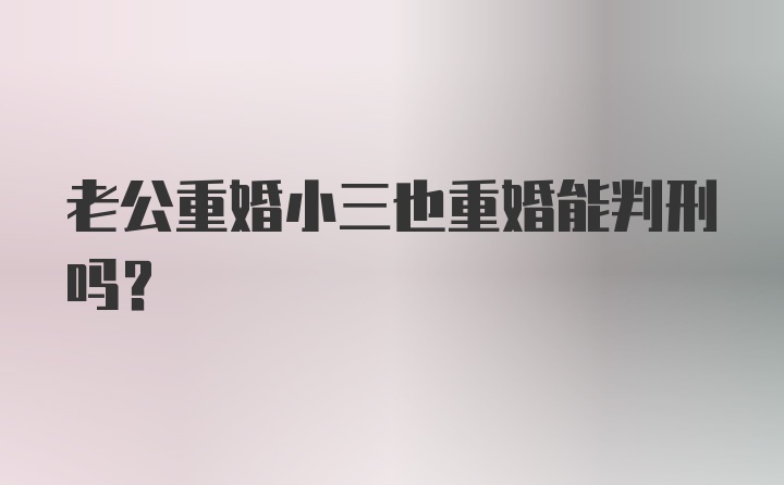 老公重婚小三也重婚能判刑吗？