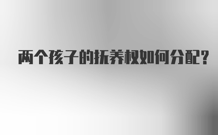 两个孩子的抚养权如何分配？