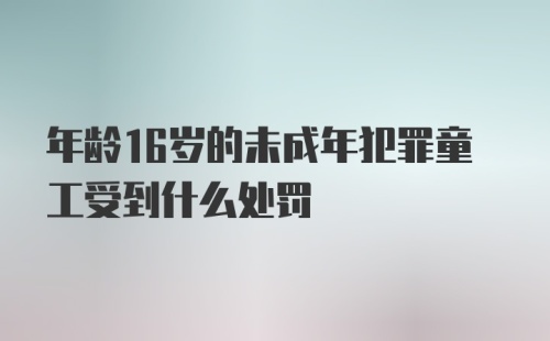 年龄16岁的未成年犯罪童工受到什么处罚