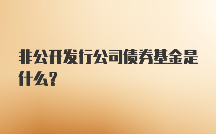 非公开发行公司债券基金是什么？