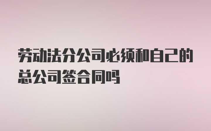 劳动法分公司必须和自己的总公司签合同吗