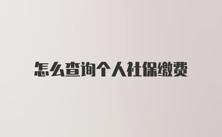 怎么查询个人社保缴费