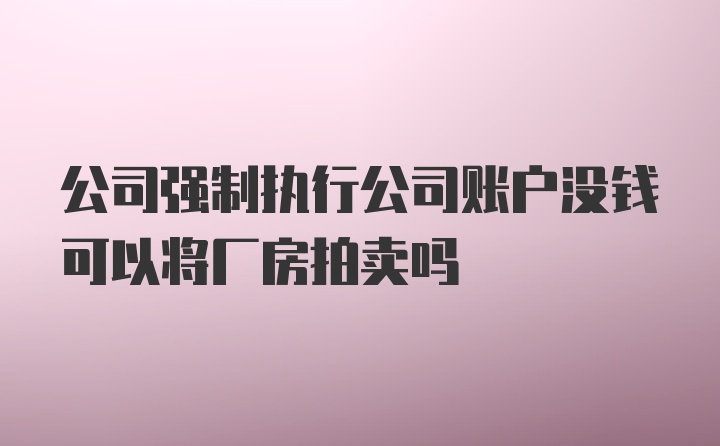 公司强制执行公司账户没钱可以将厂房拍卖吗