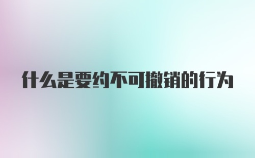 什么是要约不可撤销的行为