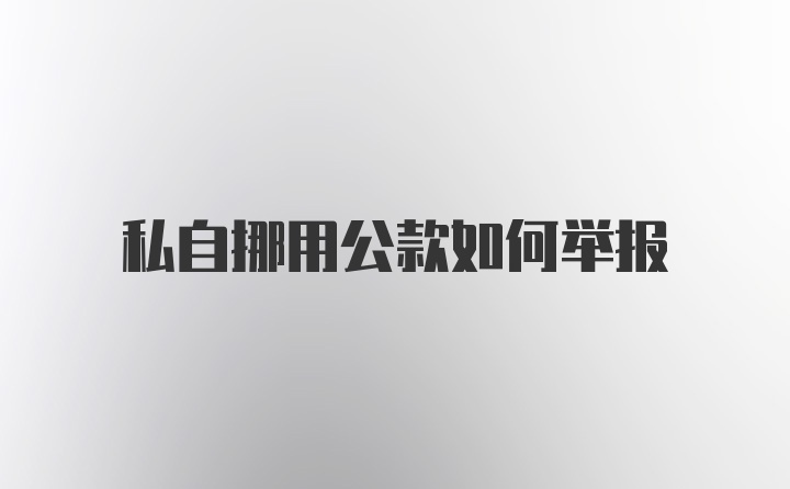 私自挪用公款如何举报