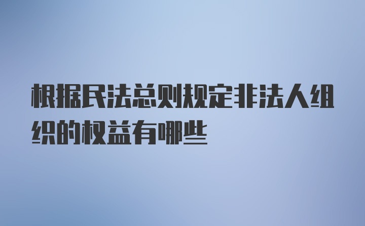 根据民法总则规定非法人组织的权益有哪些