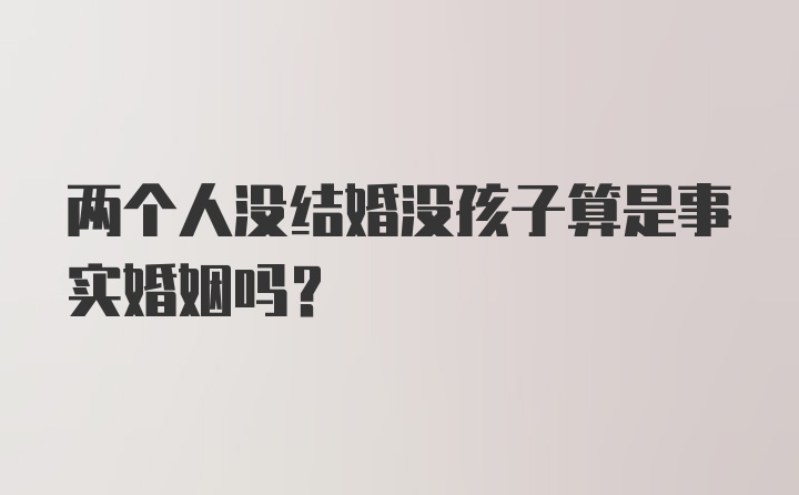 两个人没结婚没孩子算是事实婚姻吗？