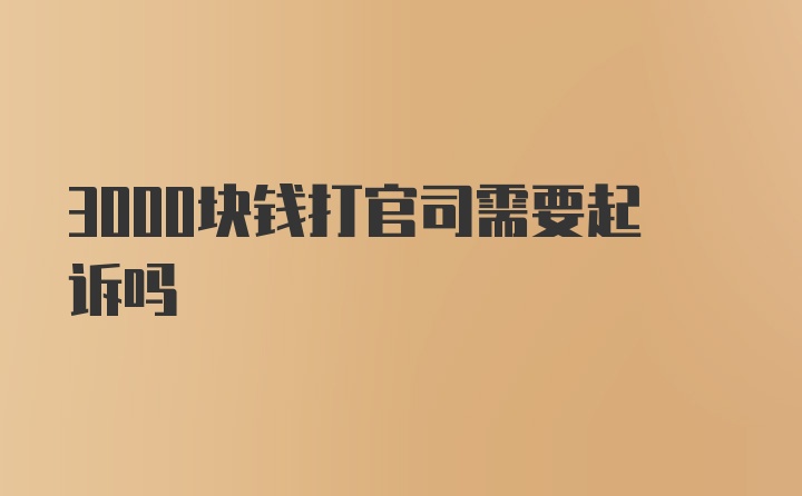 3000块钱打官司需要起诉吗