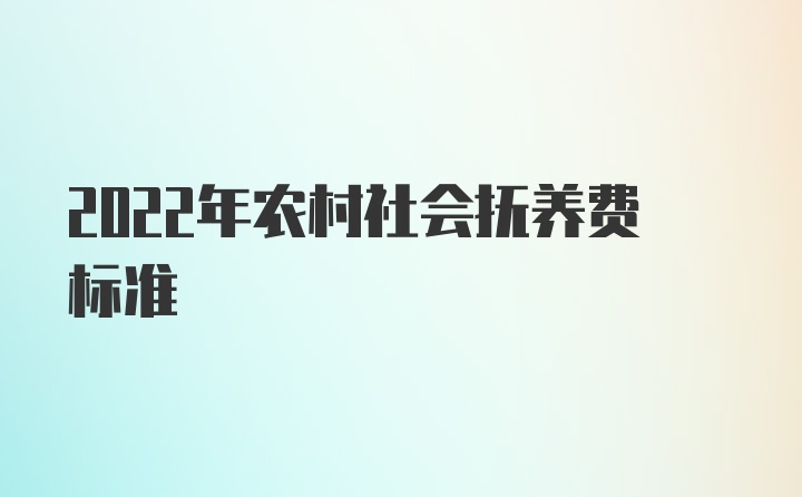 2022年农村社会抚养费标准