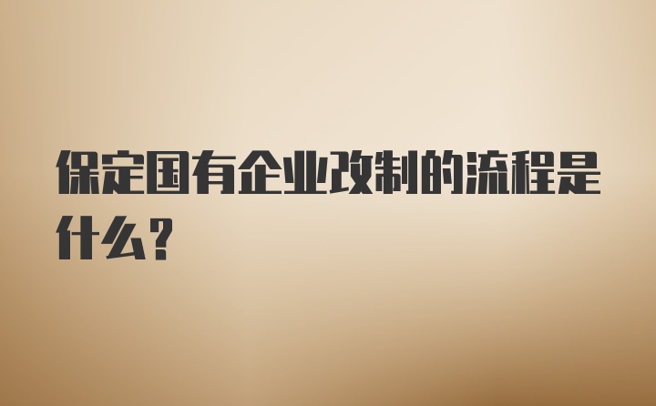 保定国有企业改制的流程是什么？