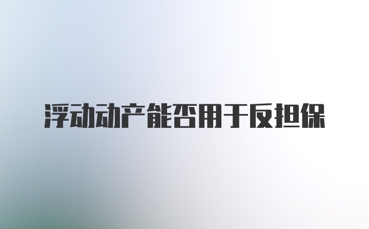 浮动动产能否用于反担保