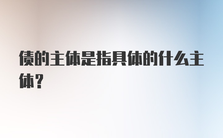 债的主体是指具体的什么主体？