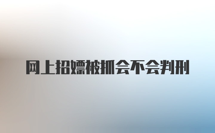 网上招嫖被抓会不会判刑