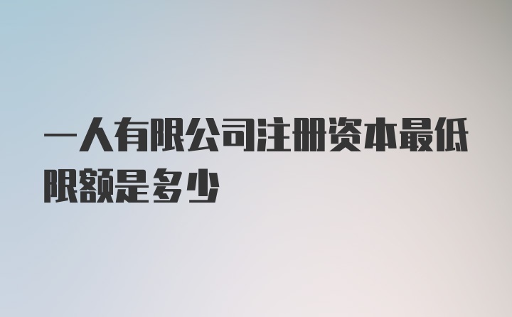 一人有限公司注册资本最低限额是多少