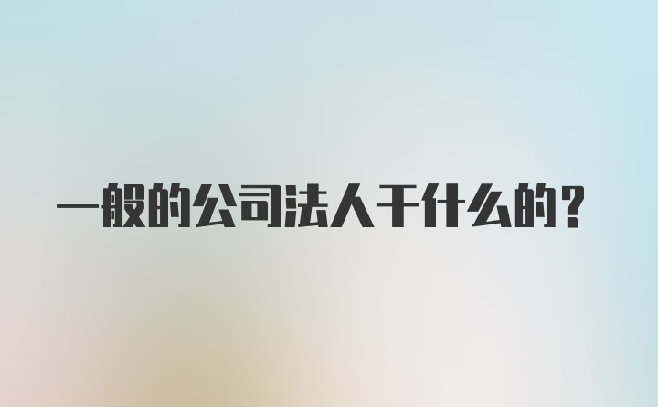 一般的公司法人干什么的?